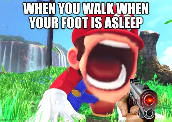 Mario screaming | WHEN YOU WALK WHEN YOUR FOOT IS ASLEEP | image tagged in mario screaming | made w/ Imgflip meme maker