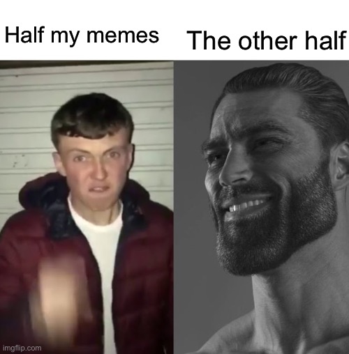 Every mildly successful user can relate | The other half; Half my memes | image tagged in average fan vs average enjoyer,memes,funny,front page plz | made w/ Imgflip meme maker