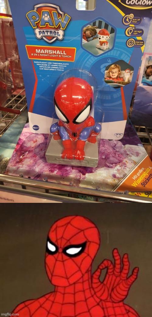 Spider-Man | image tagged in spiderman approves,paw patrol,spider-man,spiderman,you had one job,memes | made w/ Imgflip meme maker