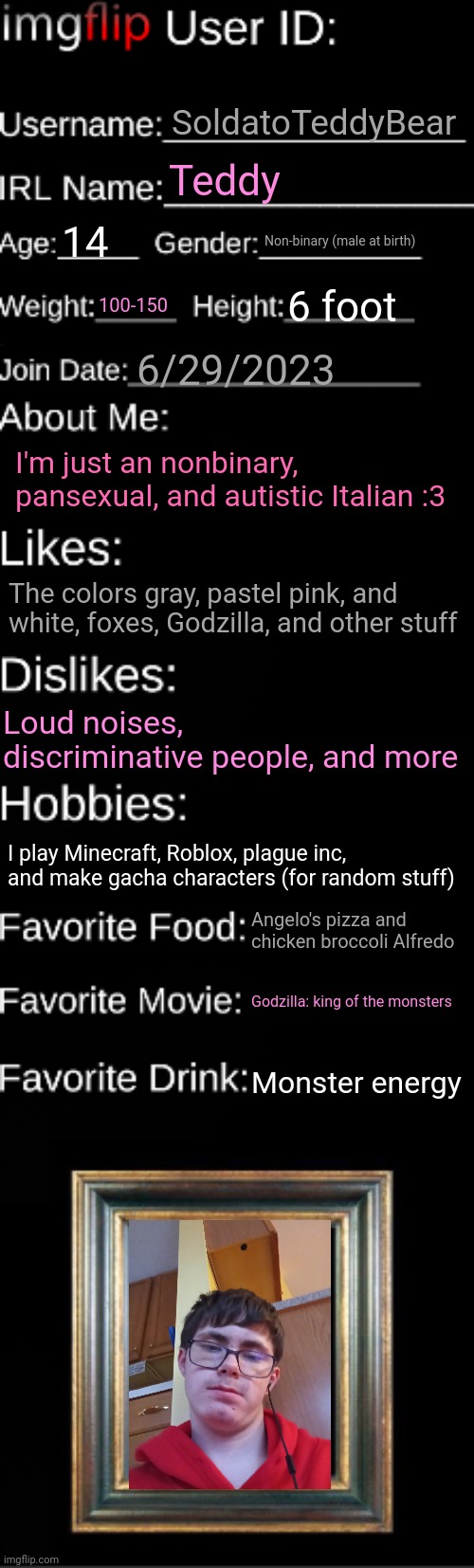 Starting a trend? :/ | SoldatoTeddyBear; Teddy; 14; Non-binary (male at birth); 100-150; 6 foot; 6/29/2023; I'm just an nonbinary, pansexual, and autistic Italian :3; The colors gray, pastel pink, and white, foxes, Godzilla, and other stuff; Loud noises, discriminative people, and more; I play Minecraft, Roblox, plague inc, and make gacha characters (for random stuff); Angelo's pizza and chicken broccoli Alfredo; Godzilla: king of the monsters; Monster energy | image tagged in imgflip id card | made w/ Imgflip meme maker