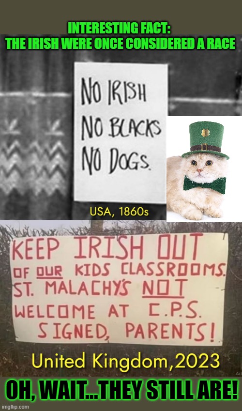 This #lolcat wonders why The Irish were once considered to be a race | INTERESTING FACT: 
THE IRISH WERE ONCE CONSIDERED A RACE; OH, WAIT...THEY STILL ARE! | image tagged in racism,irish,intolerance,lolcat,stupid people | made w/ Imgflip meme maker