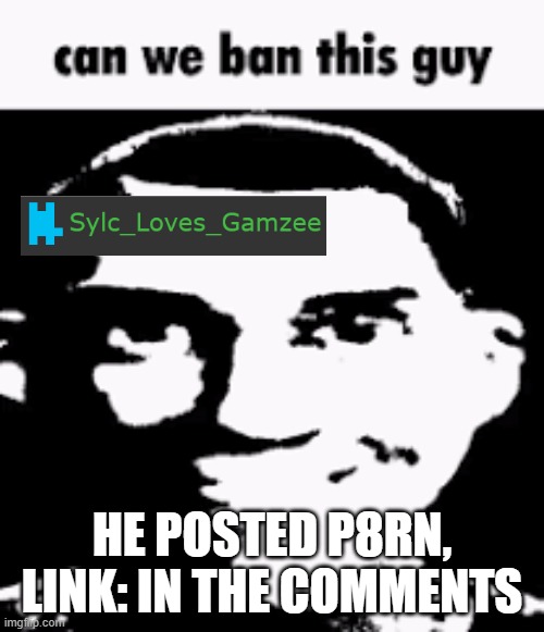Can we ban this guy | HE POSTED P8RN, LINK: IN THE COMMENTS | image tagged in can we ban this guy | made w/ Imgflip meme maker