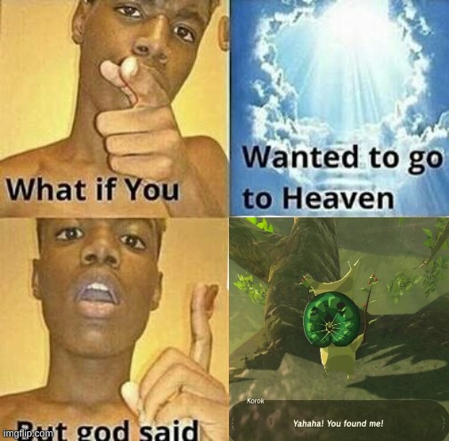 You found me, not in a religious way | image tagged in what if you wanted to go to heaven,legend of zelda,the legend of zelda,the legend of zelda breath of the wild,video games | made w/ Imgflip meme maker