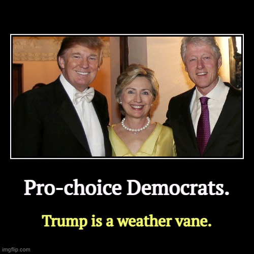 Donnie's been a Democrat for just as long as he's been a Republican. Actually, he believes in nothing except Donald Trump. | Pro-choice Democrats. | Trump is a weather vane. | image tagged in funny,demotivationals,trump,bill and hillary clinton,pro choice,democrats | made w/ Imgflip demotivational maker