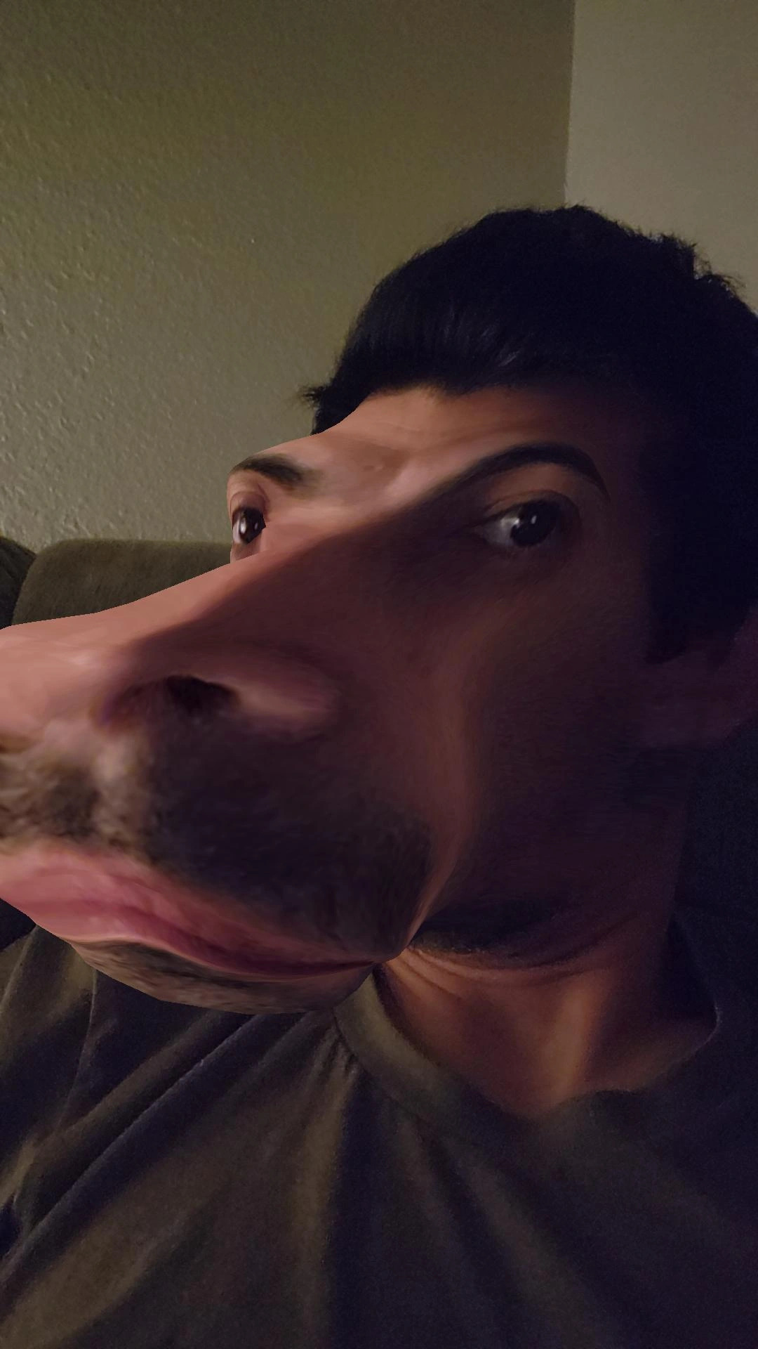 Hippo face Blank Meme Template