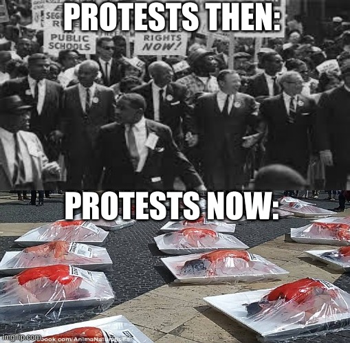 Protests: Then vs now | PROTESTS THEN:; PROTESTS NOW: | image tagged in protest,protesters | made w/ Imgflip meme maker