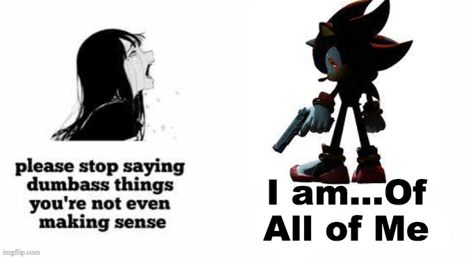 It's the year of Shadow | I am...Of All of Me | image tagged in please stop saying dumbass things youre not even making sense | made w/ Imgflip meme maker
