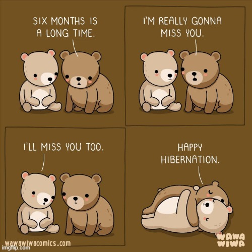 image tagged in bears,hug,hibernation | made w/ Imgflip meme maker