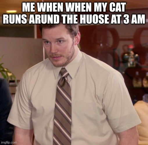 Afraid To Ask Andy Meme | ME WHEN WHEN MY CAT RUNS ARUND THE HUOSE AT 3 AM | image tagged in memes,afraid to ask andy | made w/ Imgflip meme maker