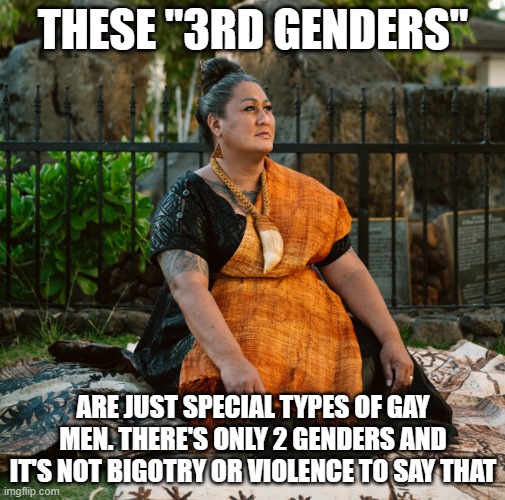 the truth | THESE "3RD GENDERS"; ARE JUST SPECIAL TYPES OF GAY MEN. THERE'S ONLY 2 GENDERS AND IT'S NOT BIGOTRY OR VIOLENCE TO SAY THAT | image tagged in kumu hina | made w/ Imgflip meme maker