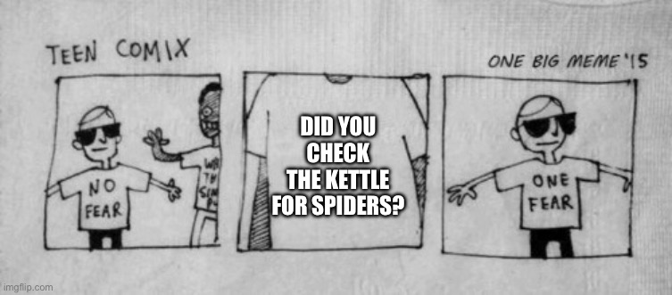 No Fear One Fear | DID YOU CHECK THE KETTLE FOR SPIDERS? | image tagged in no fear one fear | made w/ Imgflip meme maker