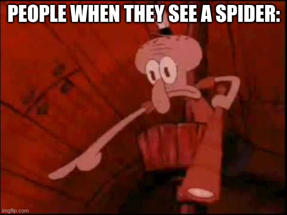 me no likey spider | PEOPLE WHEN THEY SEE A SPIDER: | image tagged in squidward pointing | made w/ Imgflip meme maker