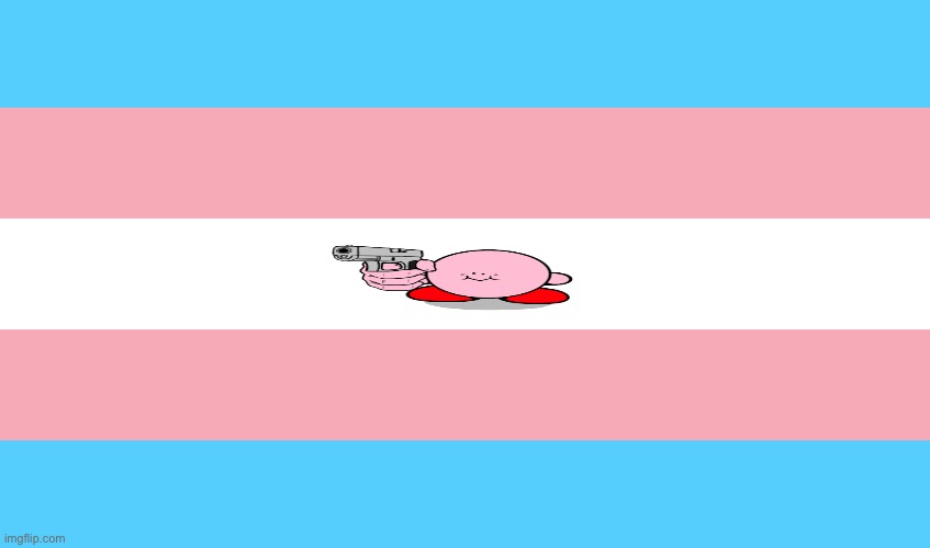 Heheh | image tagged in transgender,kirby | made w/ Imgflip meme maker