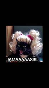 James black cat Blank Meme Template