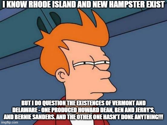 Which States Exist | I KNOW RHODE ISLAND AND NEW HAMPSTER EXIST; BUT I DO QUESTION THE EXISTENCES OF VERMONT AND DELAWARE - ONE PRODUCED HOWARD DEAN, BEN AND JERRY'S, AND BERNIE SANDERS. AND THE OTHER ONE HASN'T DONE ANYTHING!!! | image tagged in memes,futurama fry,seriously | made w/ Imgflip meme maker