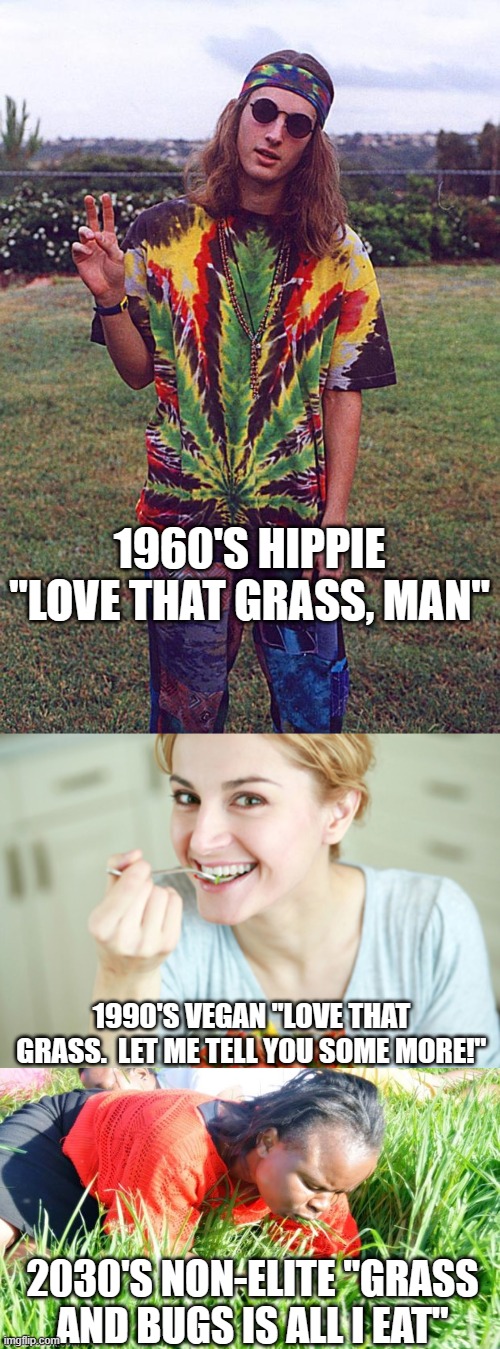 1960'S HIPPIE "LOVE THAT GRASS, MAN"; 1990'S VEGAN "LOVE THAT GRASS.  LET ME TELL YOU SOME MORE!"; 2030'S NON-ELITE "GRASS AND BUGS IS ALL I EAT" | image tagged in hippie,happy woman eating salad,eating grass | made w/ Imgflip meme maker