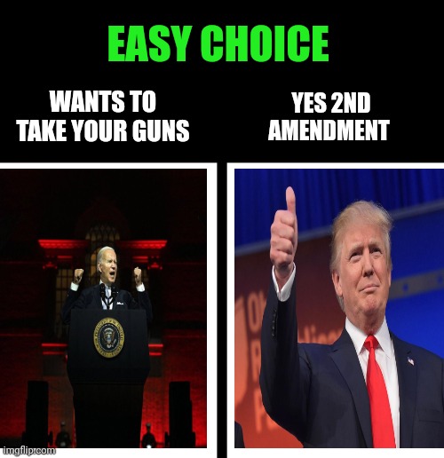Voting | EASY CHOICE; YES 2ND AMENDMENT; WANTS TO TAKE YOUR GUNS | image tagged in biden,president trump,america first | made w/ Imgflip meme maker