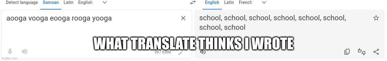 WHAT TRANSLATE THINKS I WROTE | image tagged in what google thinks i wrote,funny | made w/ Imgflip meme maker