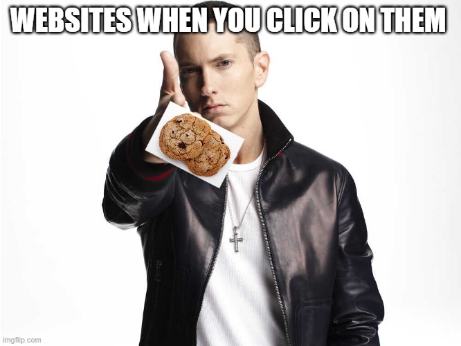 "We accept cookies in this website, blah blah blah" | WEBSITES WHEN YOU CLICK ON THEM | image tagged in funny,website | made w/ Imgflip meme maker