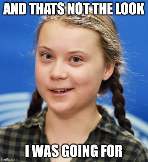 Greta Thunberg | AND THATS NOT THE LOOK I WAS GOING FOR | image tagged in greta thunberg | made w/ Imgflip meme maker
