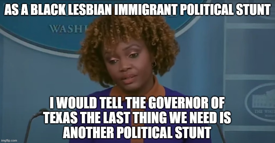 Political Stunt | AS A BLACK LESBIAN IMMIGRANT POLITICAL STUNT; I WOULD TELL THE GOVERNOR OF
TEXAS THE LAST THING WE NEED IS
ANOTHER POLITICAL STUNT | image tagged in immigration,illegal immigration,texas,border wall,governor,press secretary | made w/ Imgflip meme maker