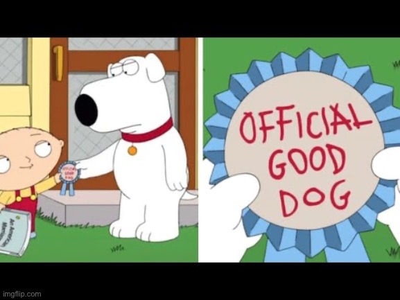 image tagged in family guy | made w/ Imgflip meme maker