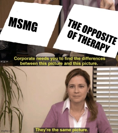 Corporate needs you to find the differences | THE OPPOSITE OF THERAPY; MSMG | image tagged in corporate needs you to find the differences | made w/ Imgflip meme maker