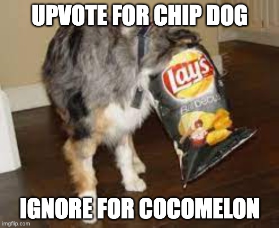 no one likes cocomelon | UPVOTE FOR CHIP DOG; IGNORE FOR COCOMELON | image tagged in chips,dog,meme,upvote | made w/ Imgflip meme maker