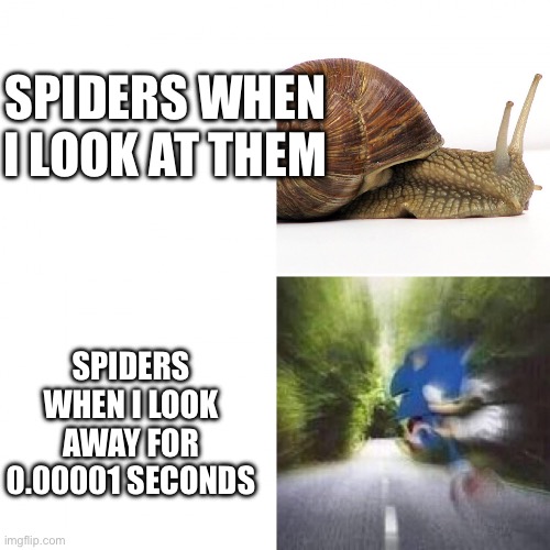 Spiders be like | SPIDERS WHEN I LOOK AT THEM; SPIDERS WHEN I LOOK AWAY FOR 0.00001 SECONDS | image tagged in sonic vs snail | made w/ Imgflip meme maker