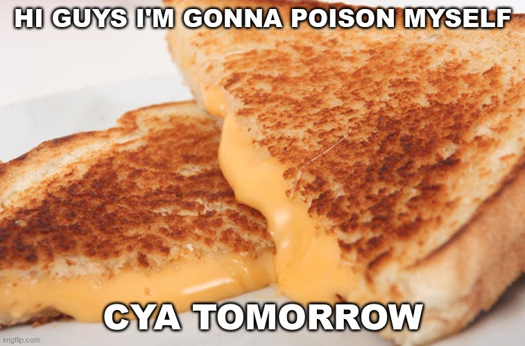 smh | HI GUYS I'M GONNA POISON MYSELF; CYA TOMORROW | image tagged in grilled cheese | made w/ Imgflip meme maker