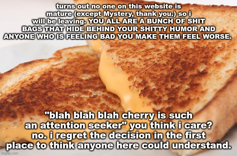 copypasta :) | turns out no one on this website is mature (except Mystery, thank you.) so i will be leaving. YOU ALL ARE A BUNCH OF SHIT BAGS THAT HIDE BEHIND YOUR SHITTY HUMOR AND ANYONE WHO IS FEELING BAD YOU MAKE THEM FEEL WORSE. "blah blah blah cherry is such an attention seeker" you think i care? no. i regret the decision in the first place to think anyone here could understand. | image tagged in grilled cheese | made w/ Imgflip meme maker