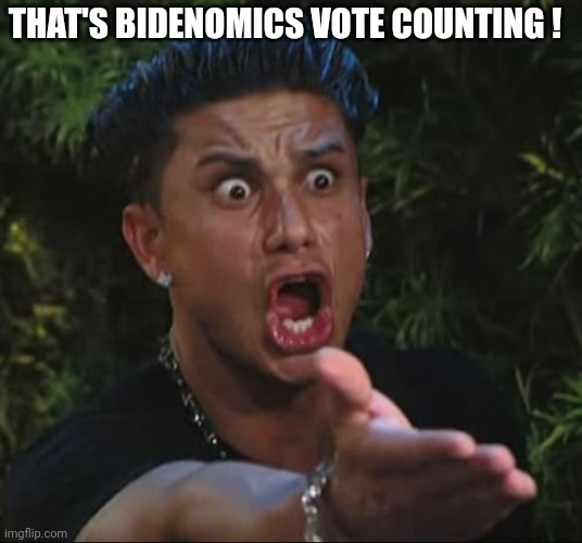 situation | THAT'S BIDENOMICS VOTE COUNTING ! | image tagged in situation | made w/ Imgflip meme maker