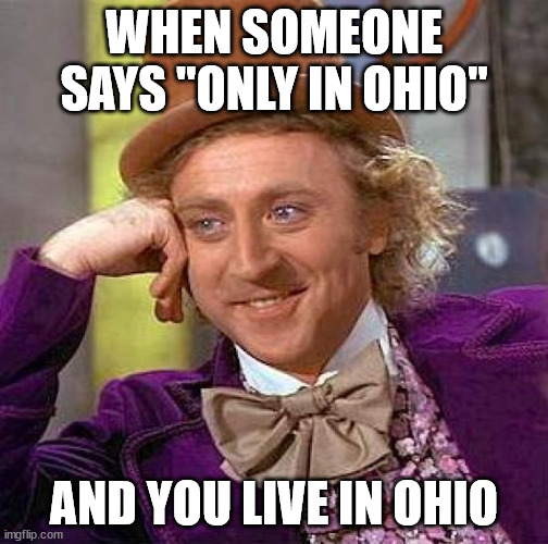 "Only in ohio" | WHEN SOMEONE SAYS "ONLY IN OHIO"; AND YOU LIVE IN OHIO | image tagged in ohio memes,gen alpha memes,only in ohio memes,ipad kid memes | made w/ Imgflip meme maker