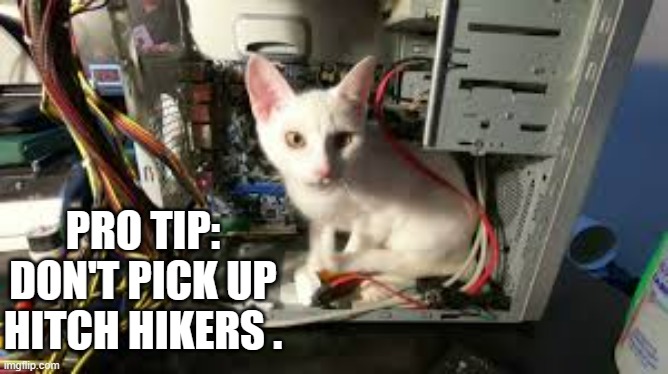 meme by Brad cat in a computer funny | PRO TIP: DON'T PICK UP HITCH HIKERS . | image tagged in gaming,funny,cat,kitten,computer,humor | made w/ Imgflip meme maker