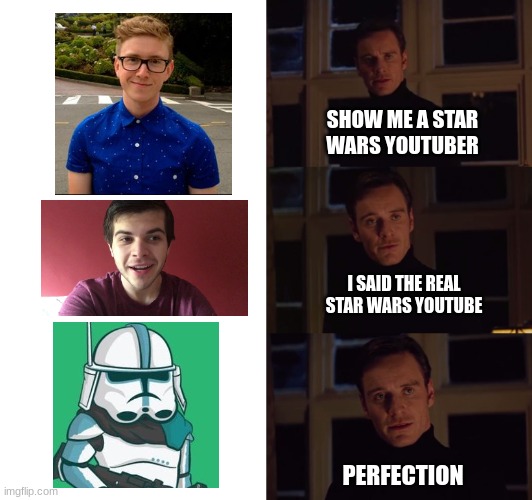 shout-out to daleytactics | SHOW ME A STAR WARS YOUTUBER; I SAID THE REAL STAR WARS YOUTUBE; PERFECTION | image tagged in perfection | made w/ Imgflip meme maker