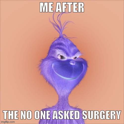 ME AFTER THE NO ONE ASKED SURGERY | made w/ Imgflip meme maker