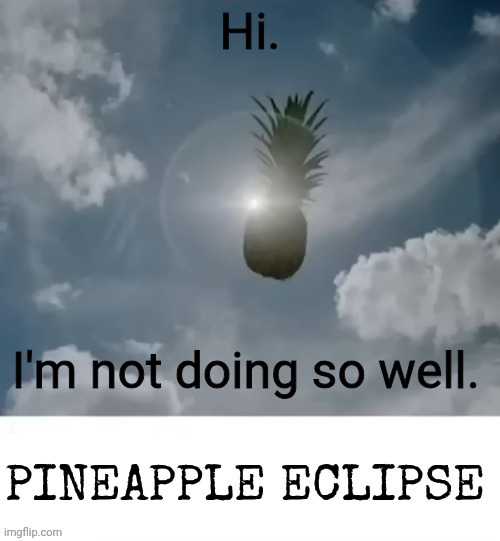 Bye bye | Hi. I'm not doing so well. | image tagged in pineapple_eclipse | made w/ Imgflip meme maker