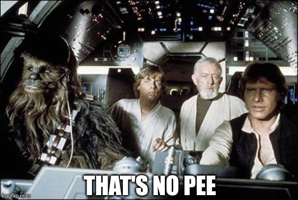 That's no moon | THAT'S NO PEE | image tagged in that's no moon | made w/ Imgflip meme maker