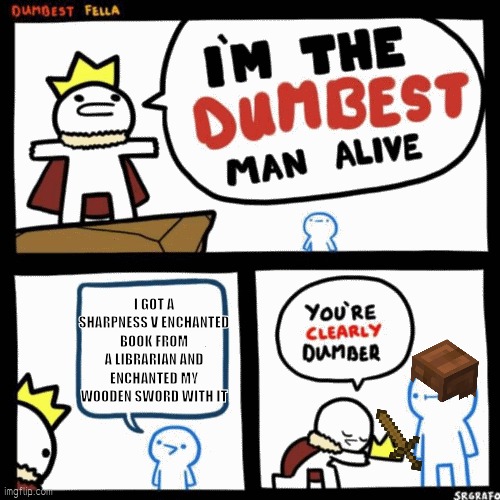 Bruh | I GOT A SHARPNESS V ENCHANTED BOOK FROM A LIBRARIAN AND ENCHANTED MY WOODEN SWORD WITH IT | image tagged in i'm the dumbest man alive | made w/ Imgflip meme maker