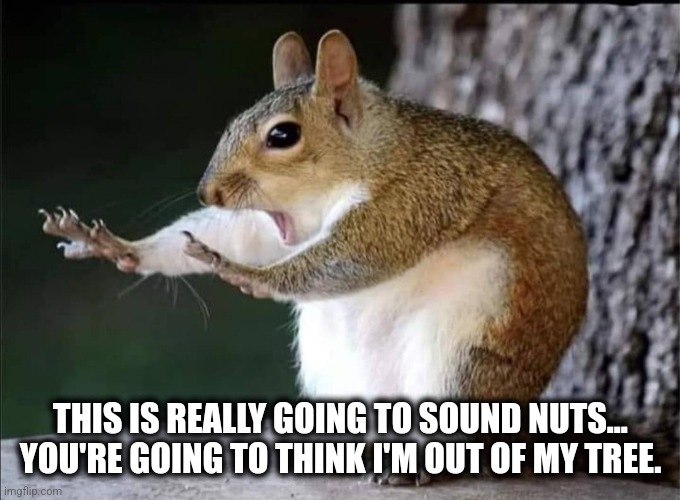You're nuts | THIS IS REALLY GOING TO SOUND NUTS... YOU'RE GOING TO THINK I'M OUT OF MY TREE. | image tagged in calm down | made w/ Imgflip meme maker