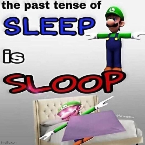 S L O O P | image tagged in sleep,surreal,weegee | made w/ Imgflip meme maker