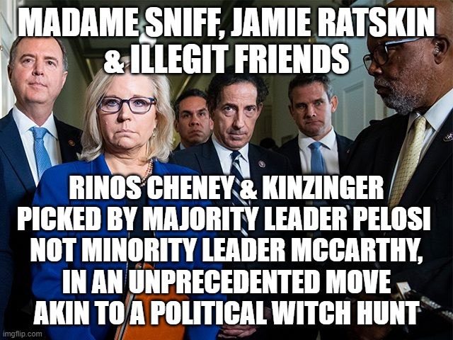 J6 Committee | MADAME SNIFF, JAMIE RATSKIN
& ILLEGIT FRIENDS; RINOS CHENEY & KINZINGER
PICKED BY MAJORITY LEADER PELOSI 
NOT MINORITY LEADER MCCARTHY,
IN AN UNPRECEDENTED MOVE
AKIN TO A POLITICAL WITCH HUNT | image tagged in j6 committee | made w/ Imgflip meme maker