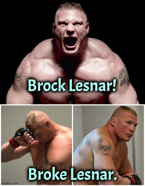 Even beasts need money | Brock Lesnar! Broke Lesnar. | image tagged in brock lesnar,wwe,broke | made w/ Imgflip meme maker
