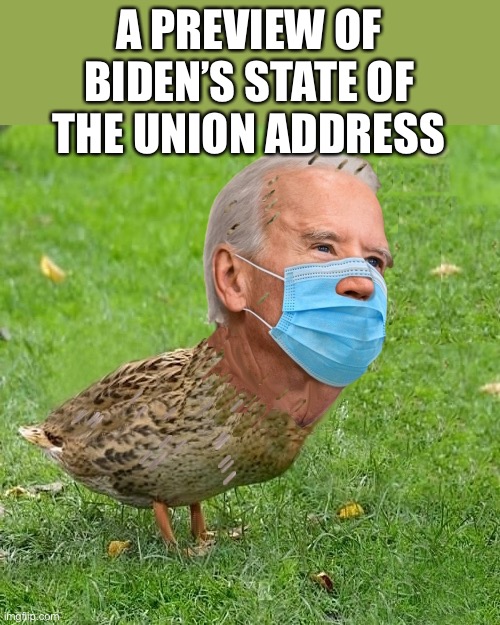 Well I ah... Nevermind | A PREVIEW OF BIDEN’S STATE OF THE UNION ADDRESS | image tagged in joe bidenduck | made w/ Imgflip meme maker