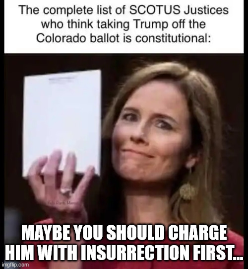 democrats...Is it so hard to follow the Constitution when you want to run election interference? | MAYBE YOU SHOULD CHARGE HIM WITH INSURRECTION FIRST... | image tagged in democrats,trash constitution,election interference,need to cheat,cannot beat trump fair and square | made w/ Imgflip meme maker