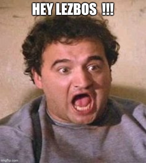 John Belushi | HEY LEZBOS  !!! | image tagged in john belushi | made w/ Imgflip meme maker
