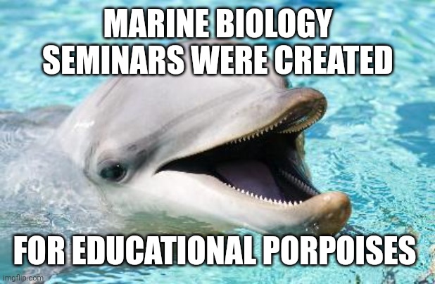 Dumb Joke Dolphin | MARINE BIOLOGY SEMINARS WERE CREATED; FOR EDUCATIONAL PORPOISES | image tagged in dumb joke dolphin | made w/ Imgflip meme maker