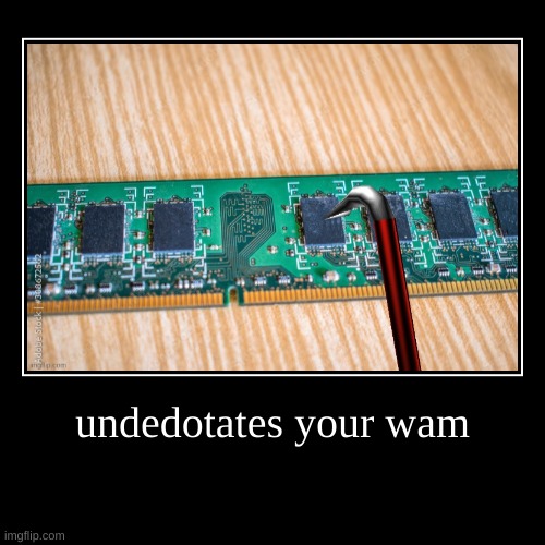 you know what? #### you. *undedotates your wam* | undedotates your wam | | image tagged in funny,demotivationals | made w/ Imgflip demotivational maker