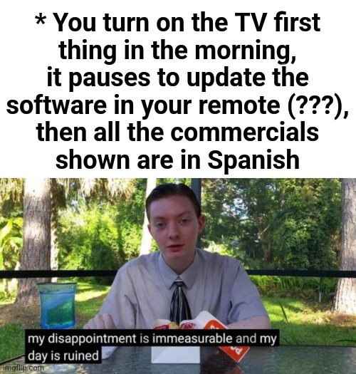 Thank you, technology | * You turn on the TV first
thing in the morning,
it pauses to update the
software in your remote (???),
then all the commercials
shown are in Spanish | image tagged in my day is ruined,memes,software update,remote,tv,commercials | made w/ Imgflip meme maker