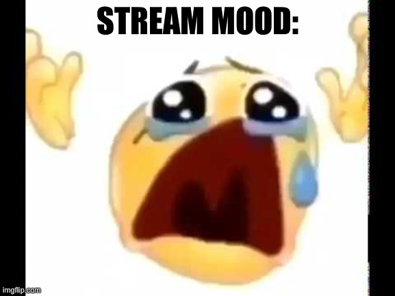 Stream mood: | STREAM MOOD: | image tagged in cursed crying emoji | made w/ Imgflip meme maker